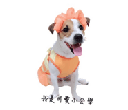 382819152