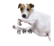 382819158