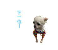 382842732