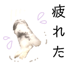 382855689