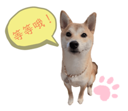 382949687