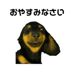 382965692