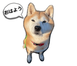 382975126