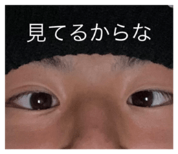 382977481