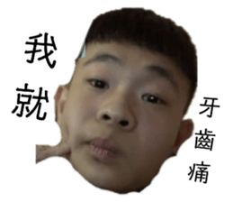 383001866