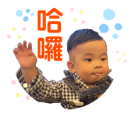 383004543
