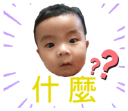 383004550