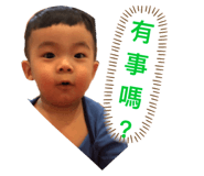 383004554