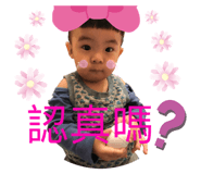 383004556