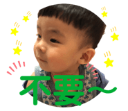 383004559