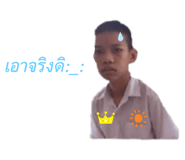 383052529