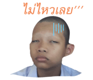 383052530