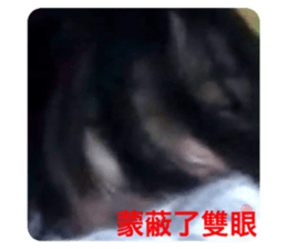 383107898