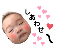 383172555