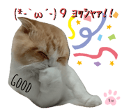 383201721