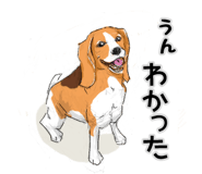 383336730
