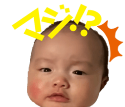 383347823