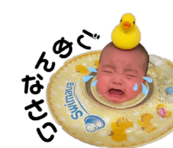 383347833