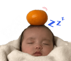 383347837