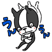 383353686