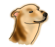383365655