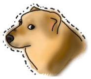 383365656