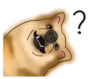 383365660