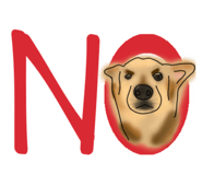 383365669