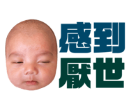 383372927