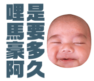 383372933