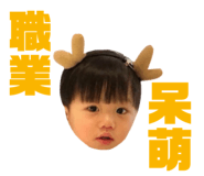 383372934