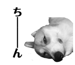 383452303