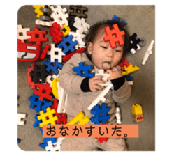 383524666