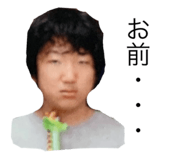 383677244
