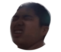 383850441