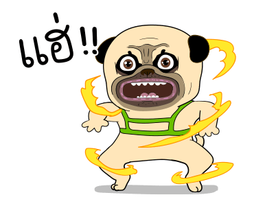 ลายที่ 47