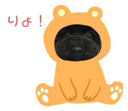 383868258