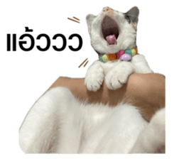 383903861