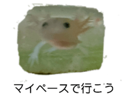 383991498