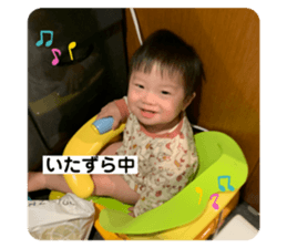 383998045