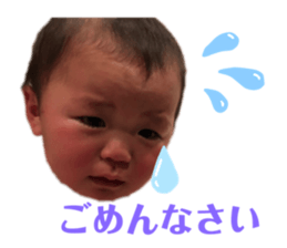 384001581