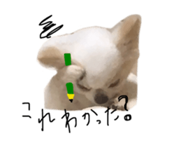 384025320