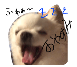 384025335