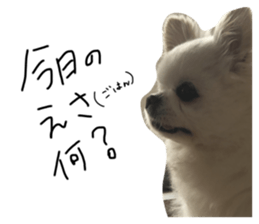 384025348