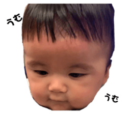 384047491