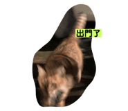 384068089