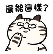 384113616
