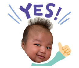 384132316