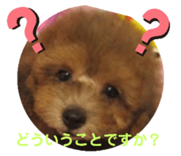 384247251