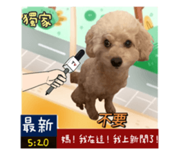 384273653